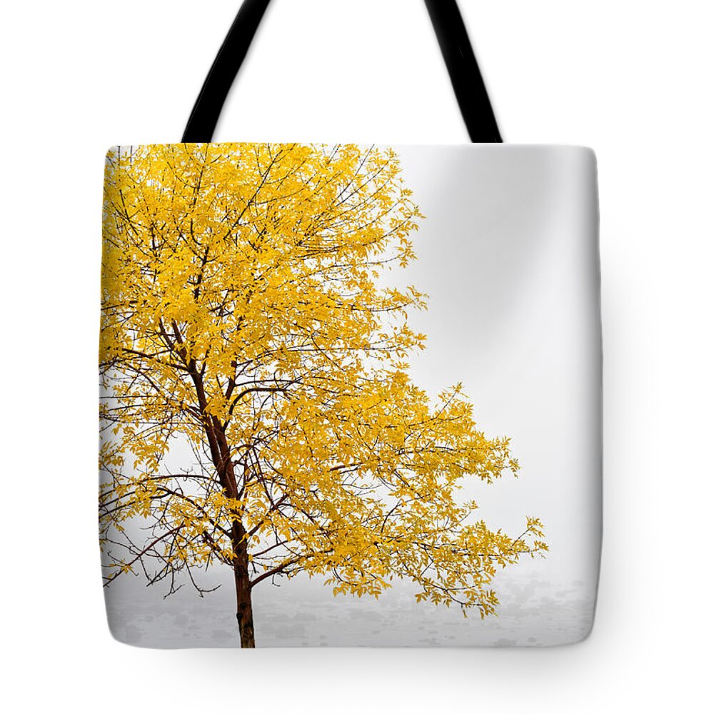 Autumn Tote Bag featuring the photograph Tree #1 by U Schade