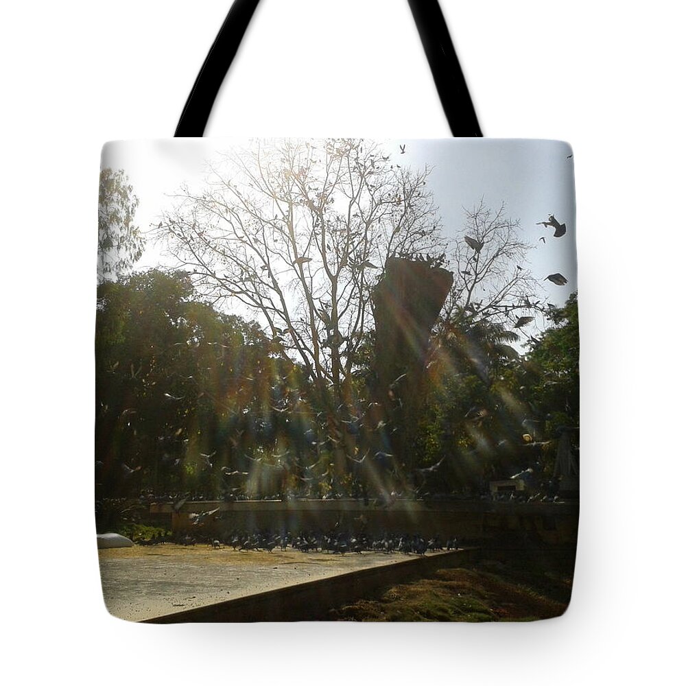 Tree Tote Bag featuring the photograph Tree And Evening Light Around 1600 Hrs by Pixel Artist