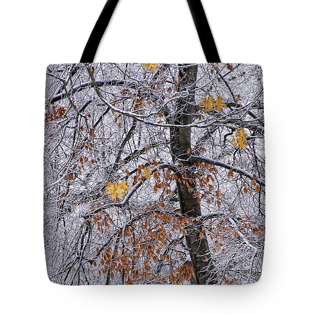 Snow Tote Bag featuring the photograph Tree Branches with Winter Snowfall in Garfield Park by Randall Nyhof