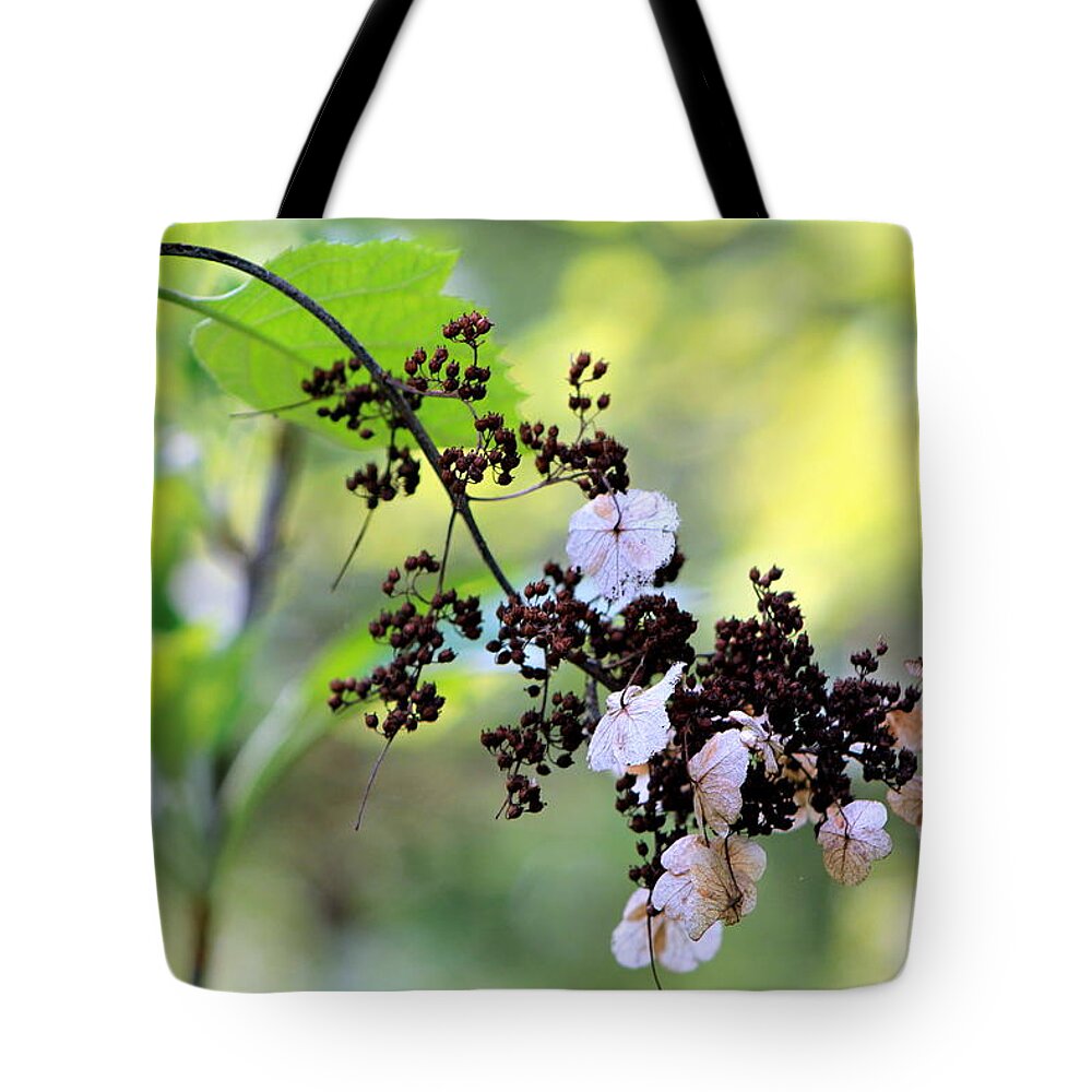 Tree Tote Bag featuring the photograph Tree Filigree by Deborah Crew-Johnson