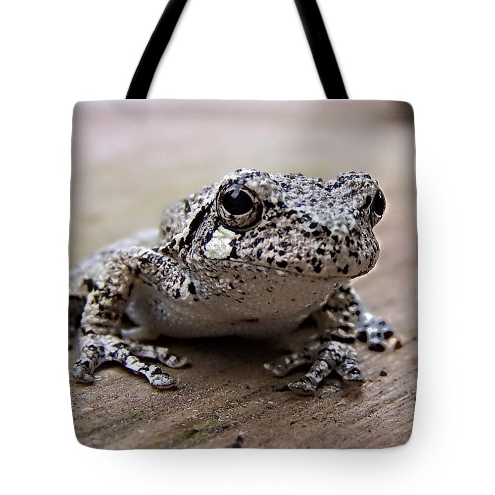 Tree Frog Tote Bag featuring the painting Tree frog by Priscilla Batzell Expressionist Art Studio Gallery