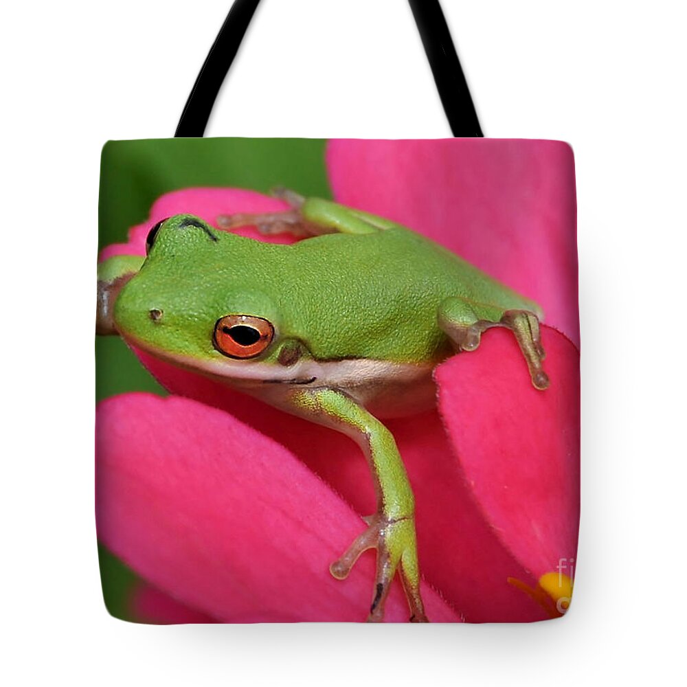 Frog Tote Bag featuring the photograph Tree Frog On A Pink Flower by Kathy Baccari