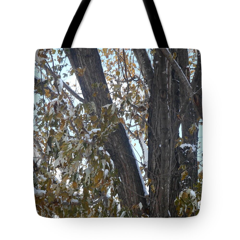 Tree Tote Bag featuring the photograph Tree Leaves with Snow by Shea Holliman