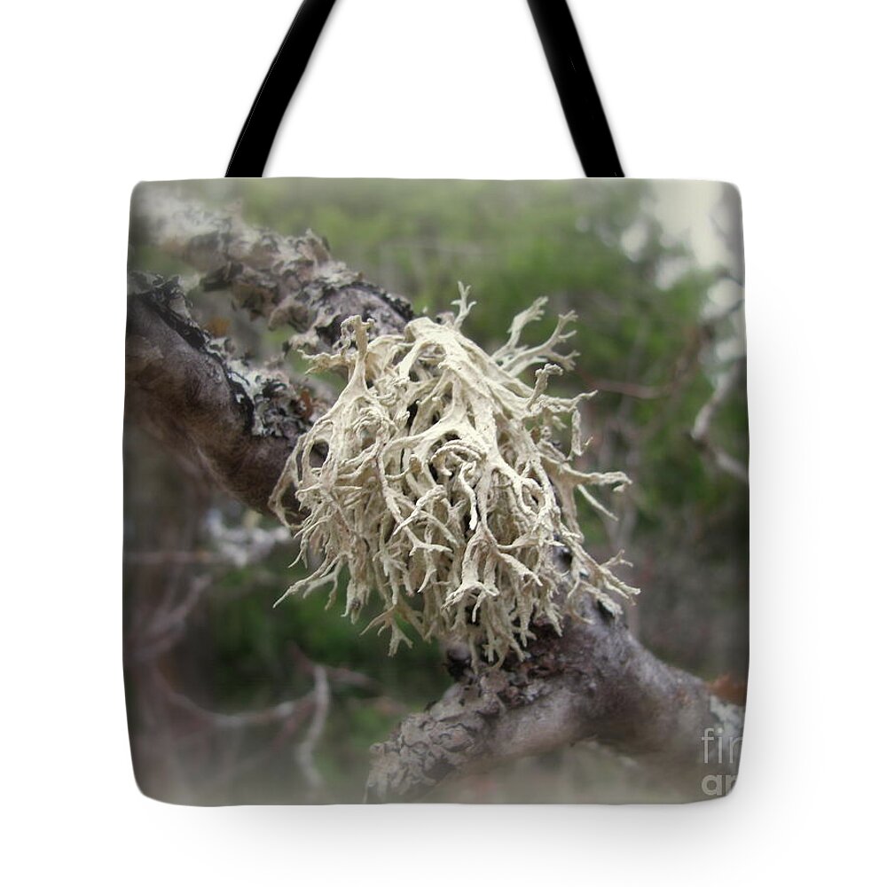 Tree Tote Bag featuring the photograph Tree Lichen by Leone Lund