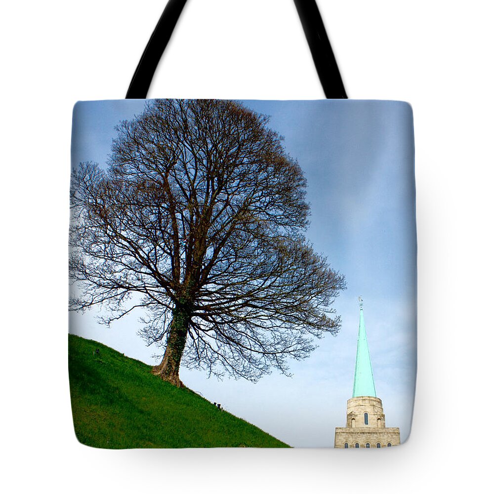 Canon Tote Bag featuring the photograph Tree on a Hill by Jeremy Hayden