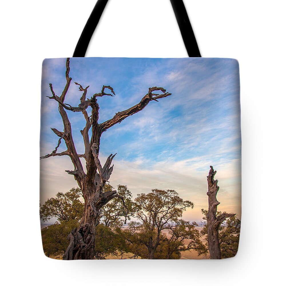 Landscape Tote Bag featuring the photograph Tree On A Ridge At Round Valley by Marc Crumpler