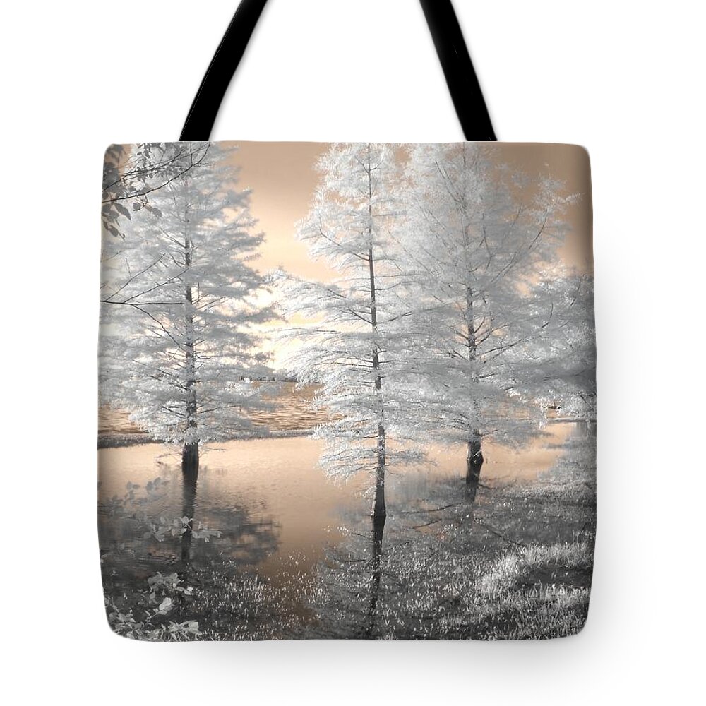 Tree Tote Bag featuring the photograph Tree Reflections by Jane Linders