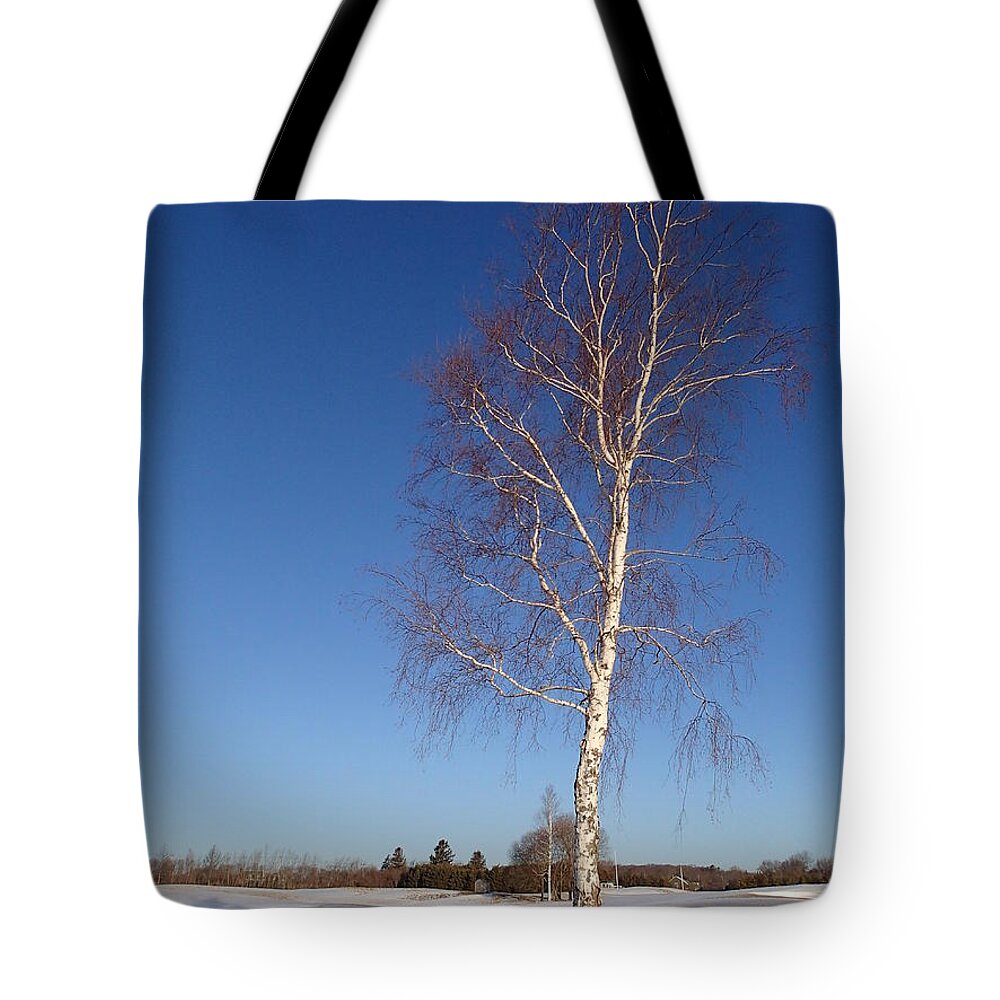 Tree Tote Bag featuring the photograph Tree by Robert Nickologianis