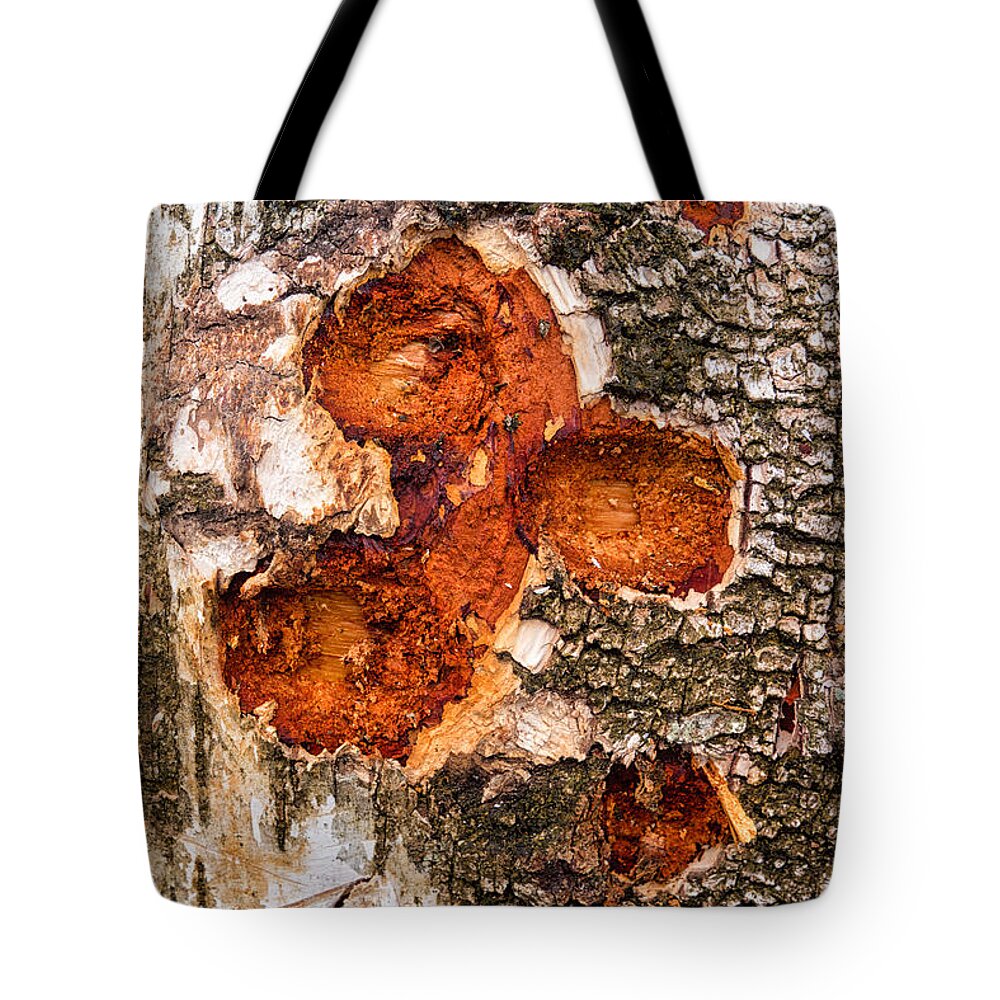 Wood Tote Bag featuring the photograph Tree trunk closeup - wooden structure by Matthias Hauser
