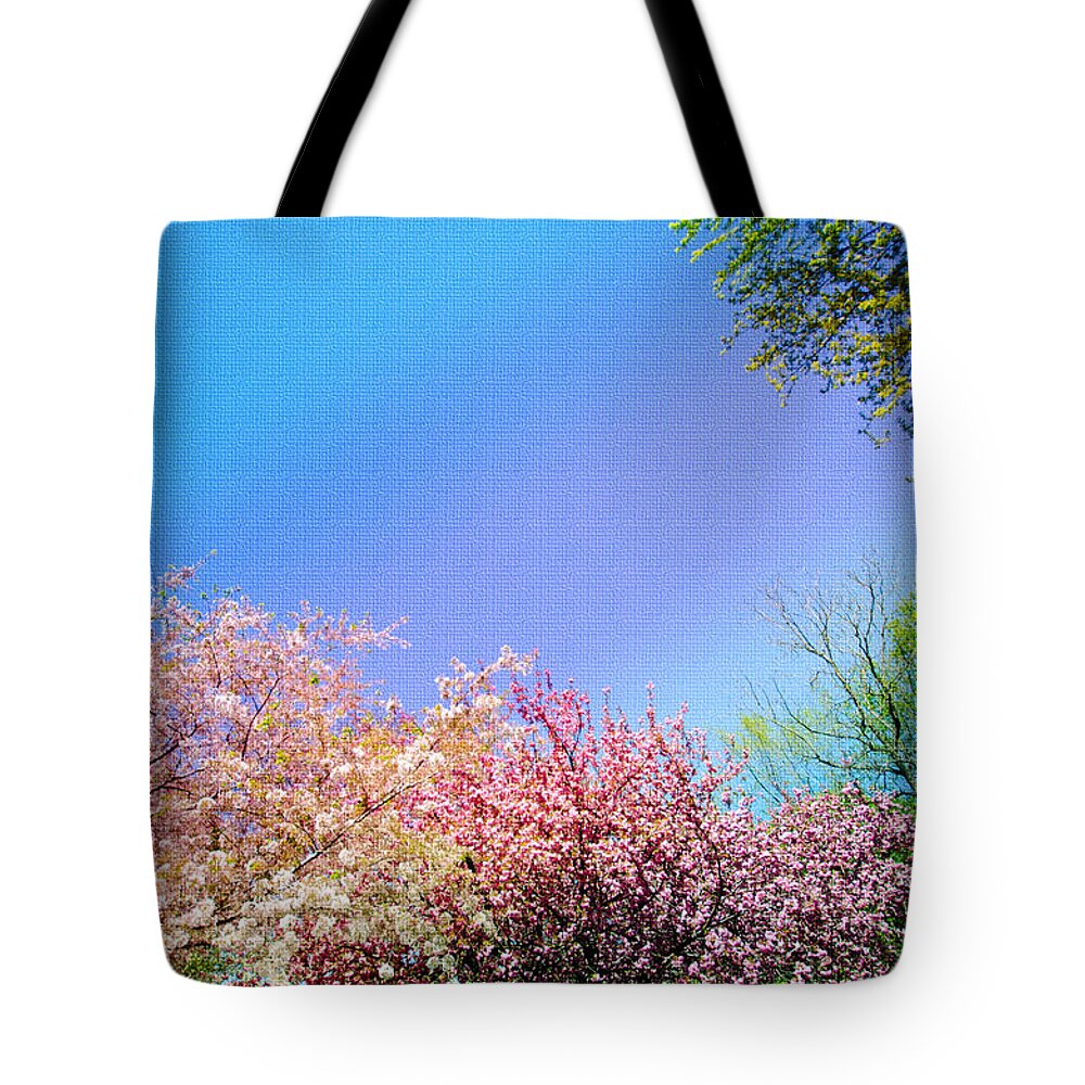 Trees Tote Bag featuring the photograph Trees Around by Crystal Wightman