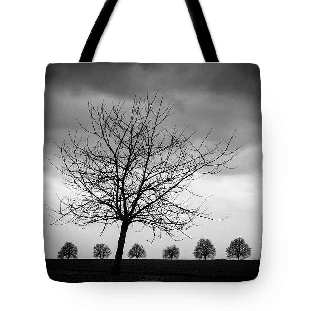 Tree Tote Bag featuring the photograph Trees black and white by Matthias Hauser