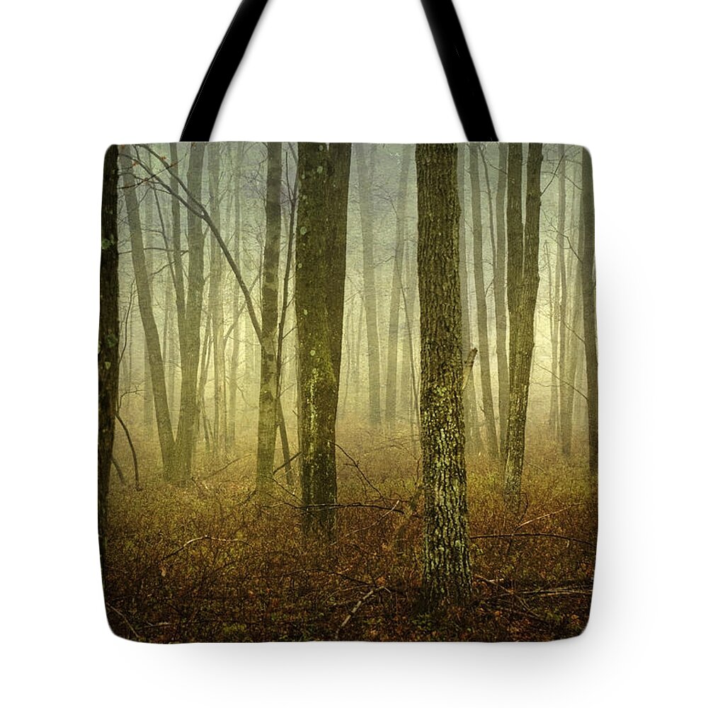 Bare Tote Bag featuring the photograph Trees II by Debra Fedchin