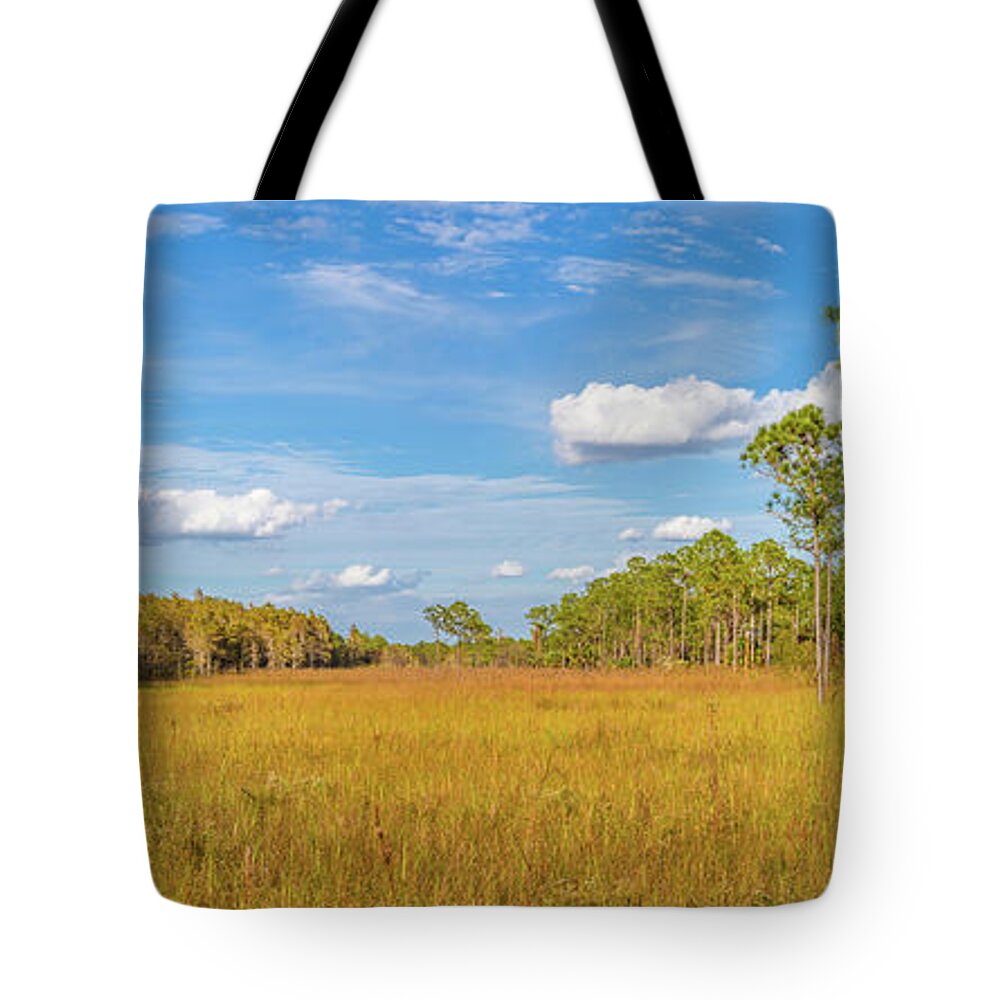 Corkscrew Swamp Sanctuary Tote Bags