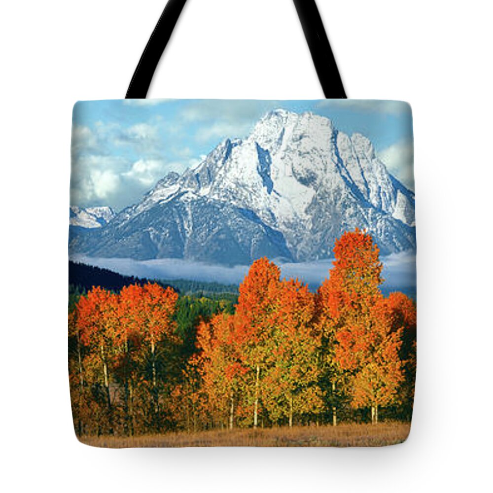 Photography Tote Bag featuring the photograph Trees In A Forest With Snowcapped by Panoramic Images