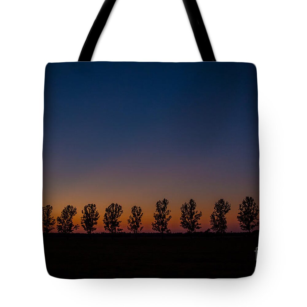 Pink Tote Bag featuring the photograph Trees in a Row Sunset by Cheryl Baxter