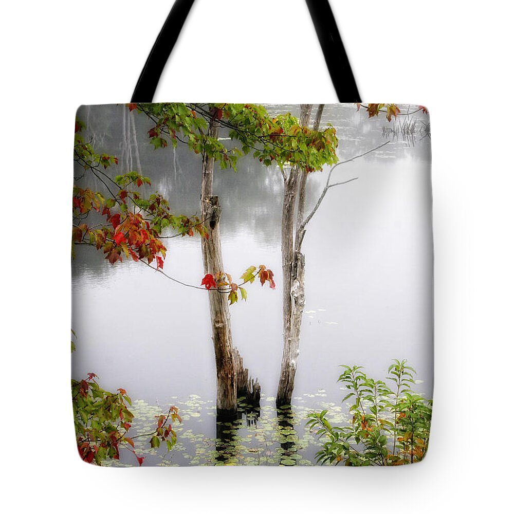 Maine Tote Bag featuring the photograph Trees In Fog by Timothy Hacker