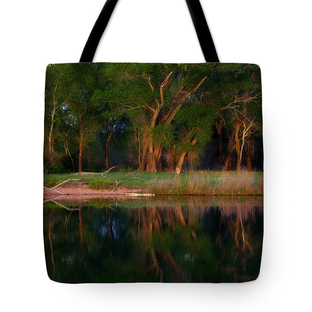 Reflection Tote Bag featuring the photograph Trees of the Lake by Darren White
