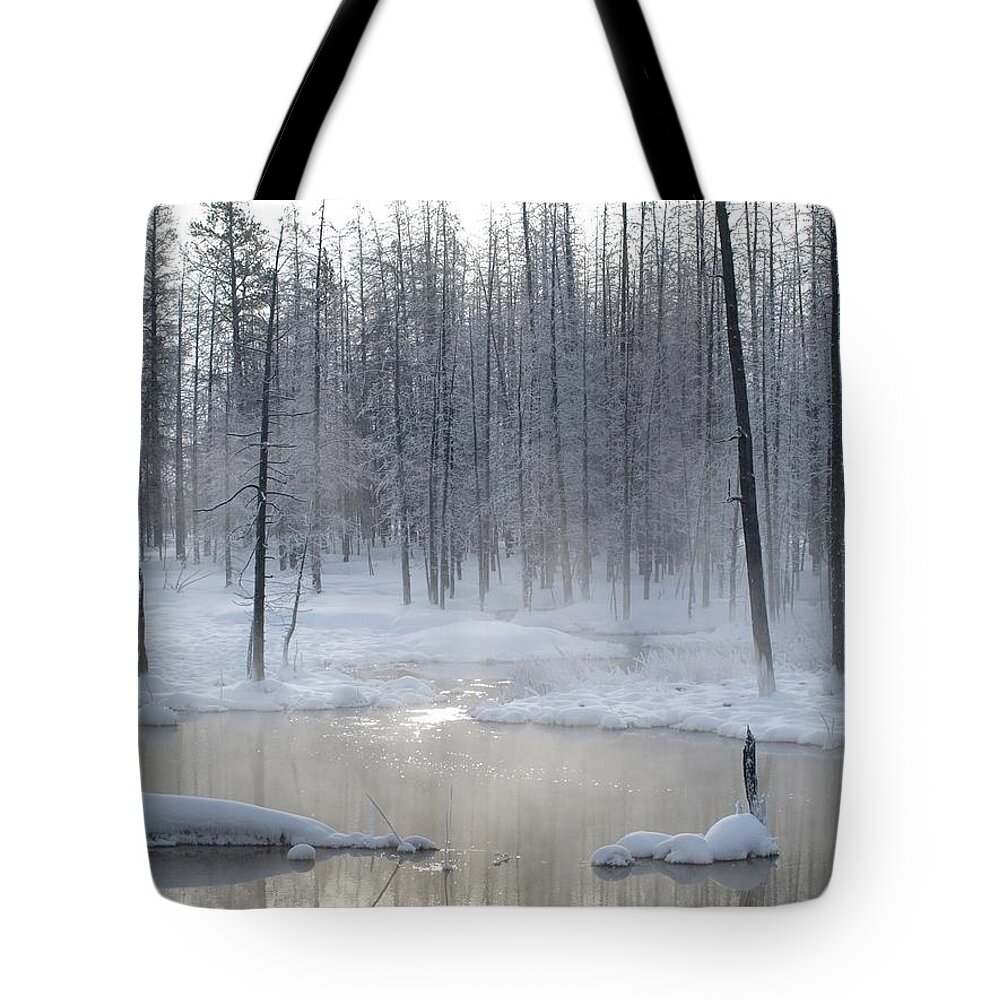 Trees Tote Bag featuring the photograph Trees Of Winter by Philip And Robbie Bracco