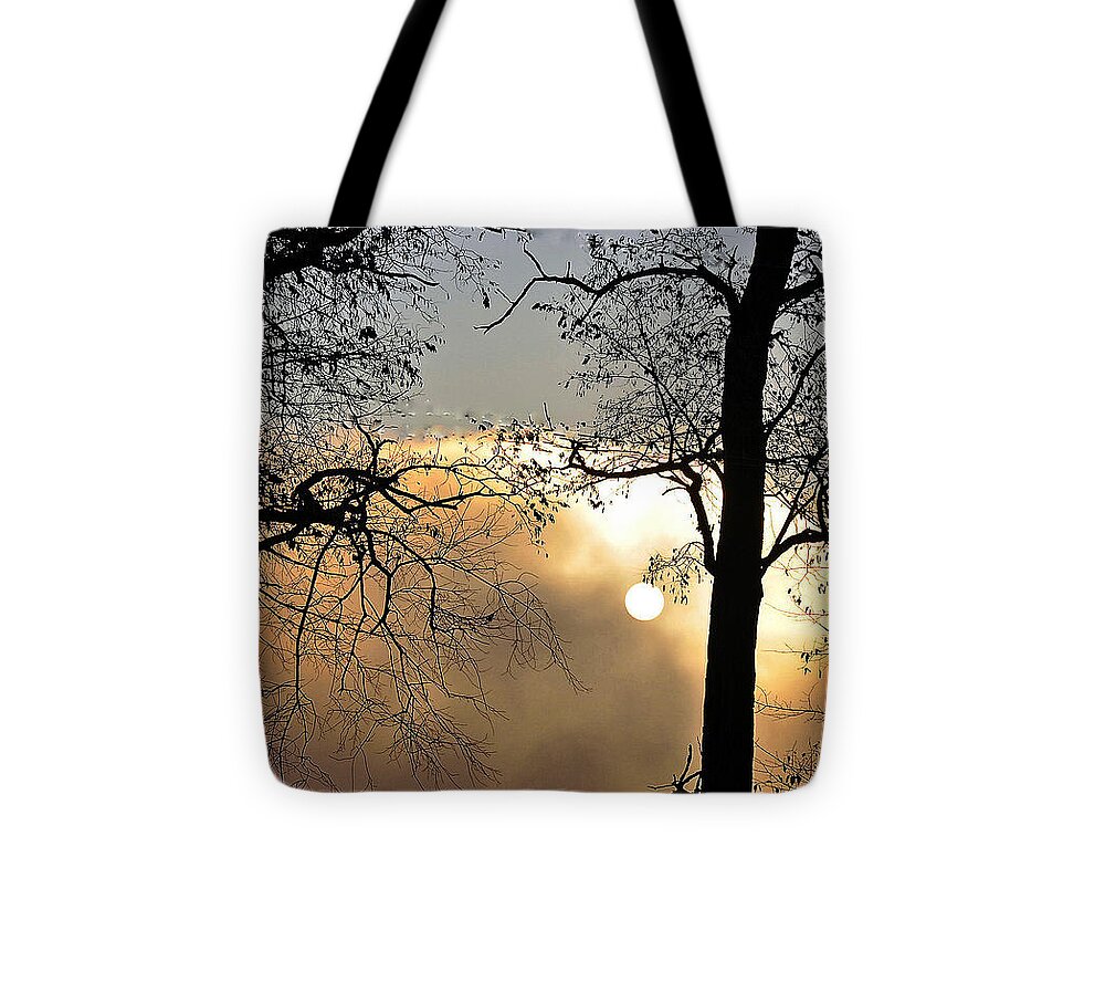 Trees Tote Bag featuring the photograph Trees on Misty Morning by Phyllis Meinke