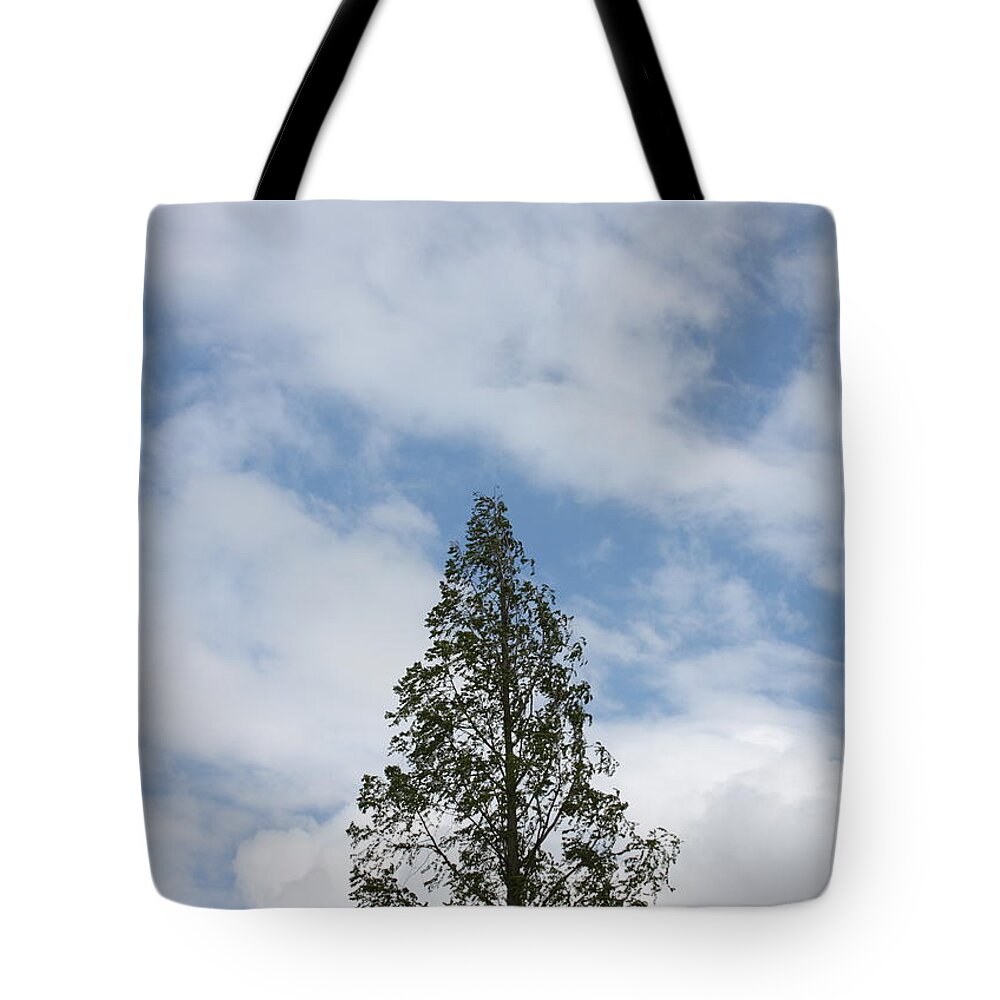 Tree Tote Bag featuring the photograph Treetop by Michelle Miron-Rebbe