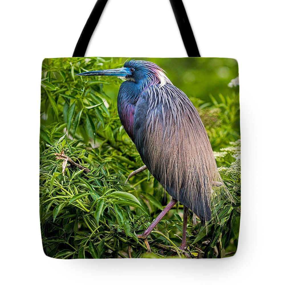 Heron Tote Bag featuring the photograph Tri-Color Heron by Christopher Holmes