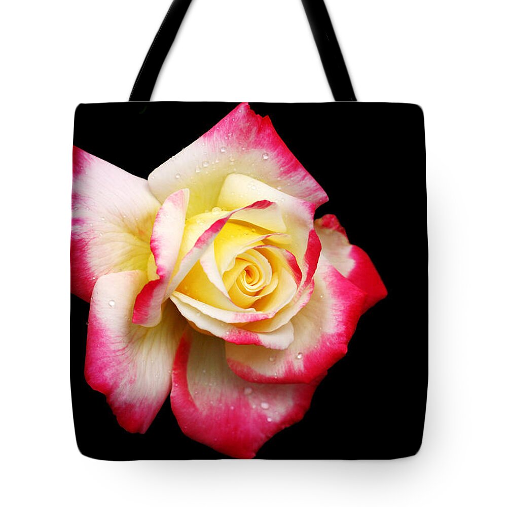 Rose Tote Bag featuring the photograph Tricolour Magesty by Doug Norkum