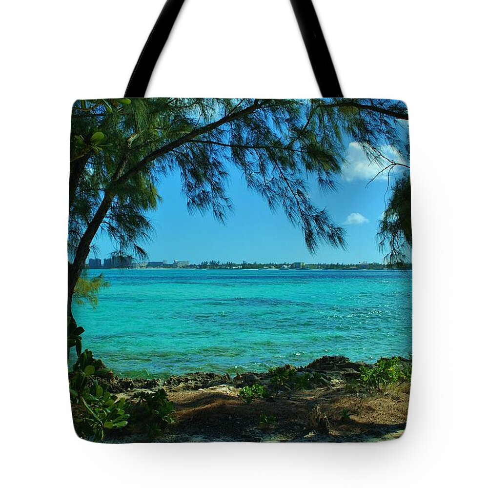 Blue Tote Bag featuring the photograph Tropical Aqua Blue Waters by Bob Sample