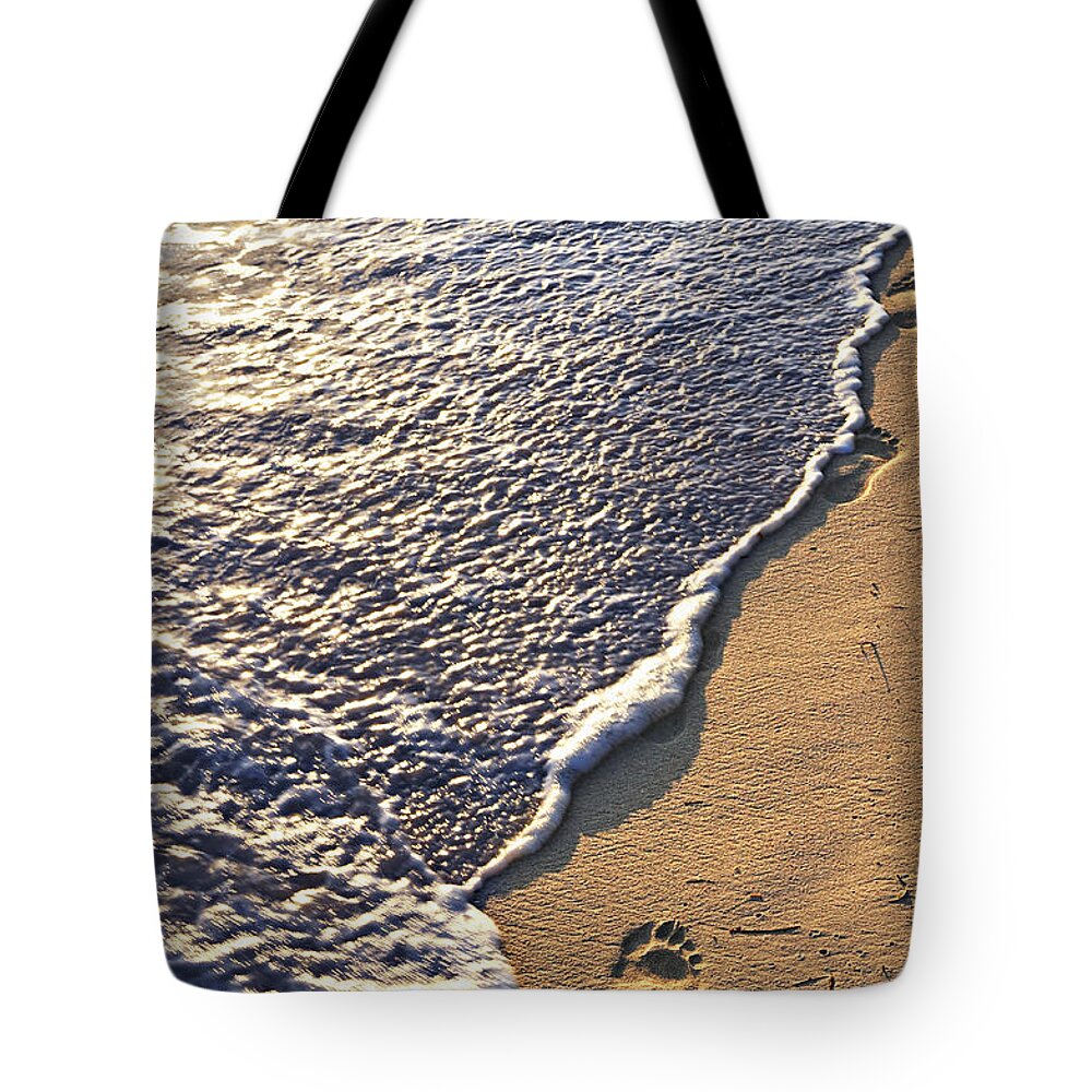 Footstep Tote Bag featuring the photograph Tropical beach with footprints by Elena Elisseeva