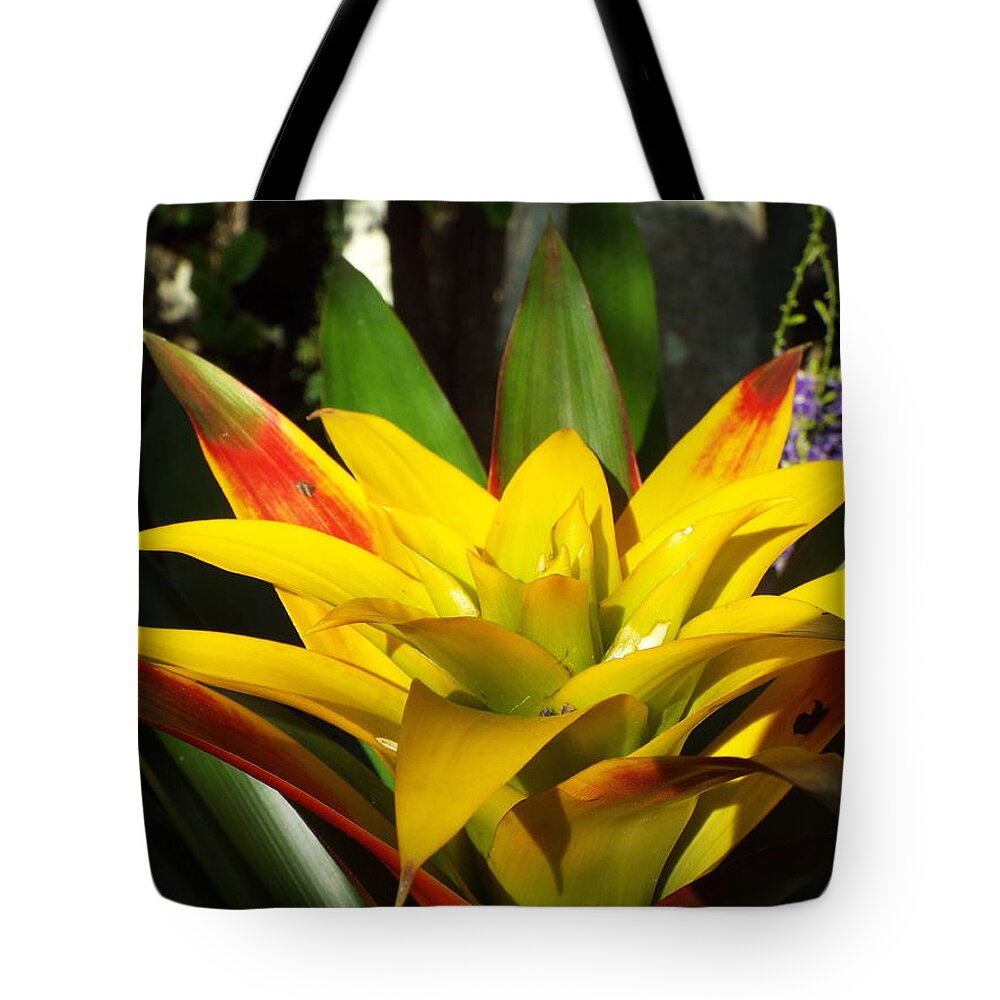 Yellow Tote Bag featuring the photograph Tropical by Caryl J Bohn