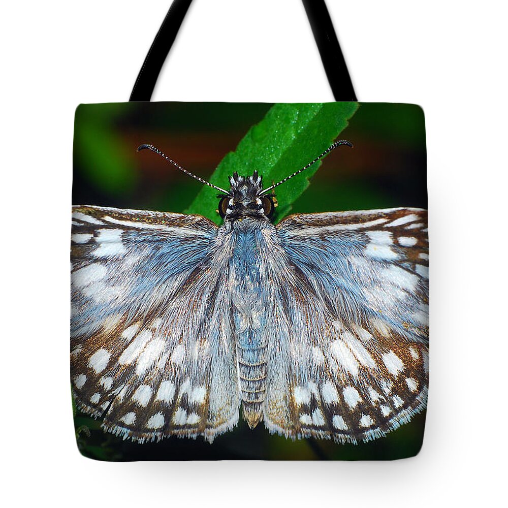 Photograph Tote Bag featuring the photograph Tropical Checkered Skipper by Larah McElroy