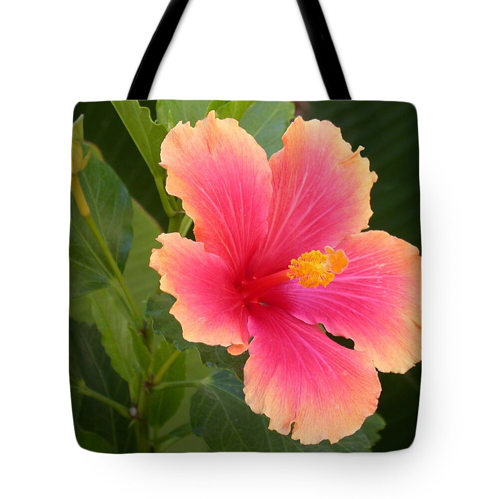 Hibiscus Tote Bag featuring the photograph Tropical Hibiscus by Shane Bechler
