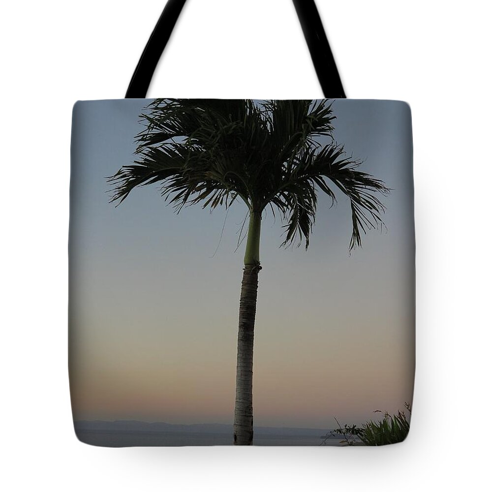 Palm Tote Bag featuring the photograph Tropical by Jessica Myscofski