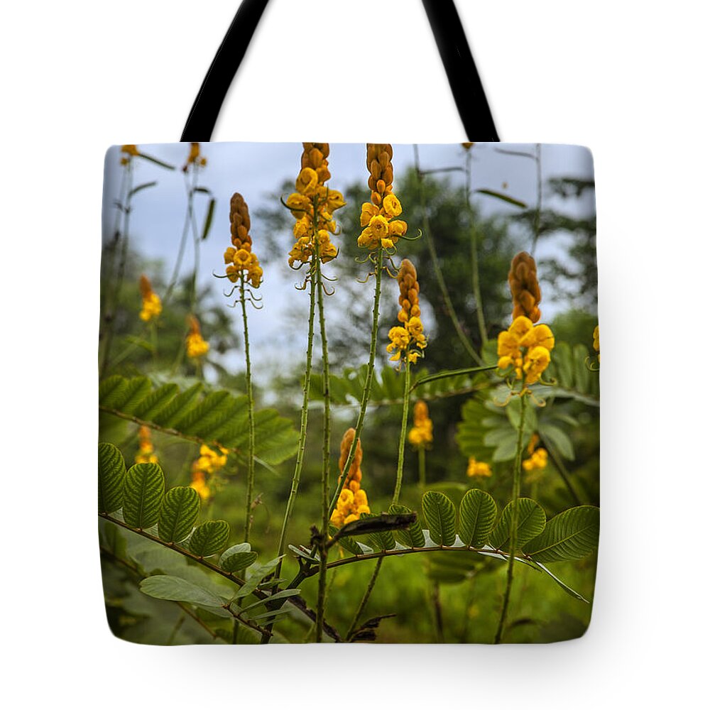 Yellow Tote Bag featuring the photograph Tropical Plants by Gina Koch
