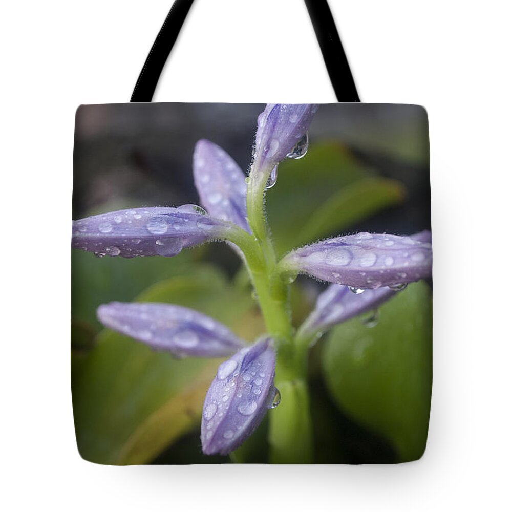 Rain Tote Bag featuring the photograph Tropical Rains by Miguel Winterpacht