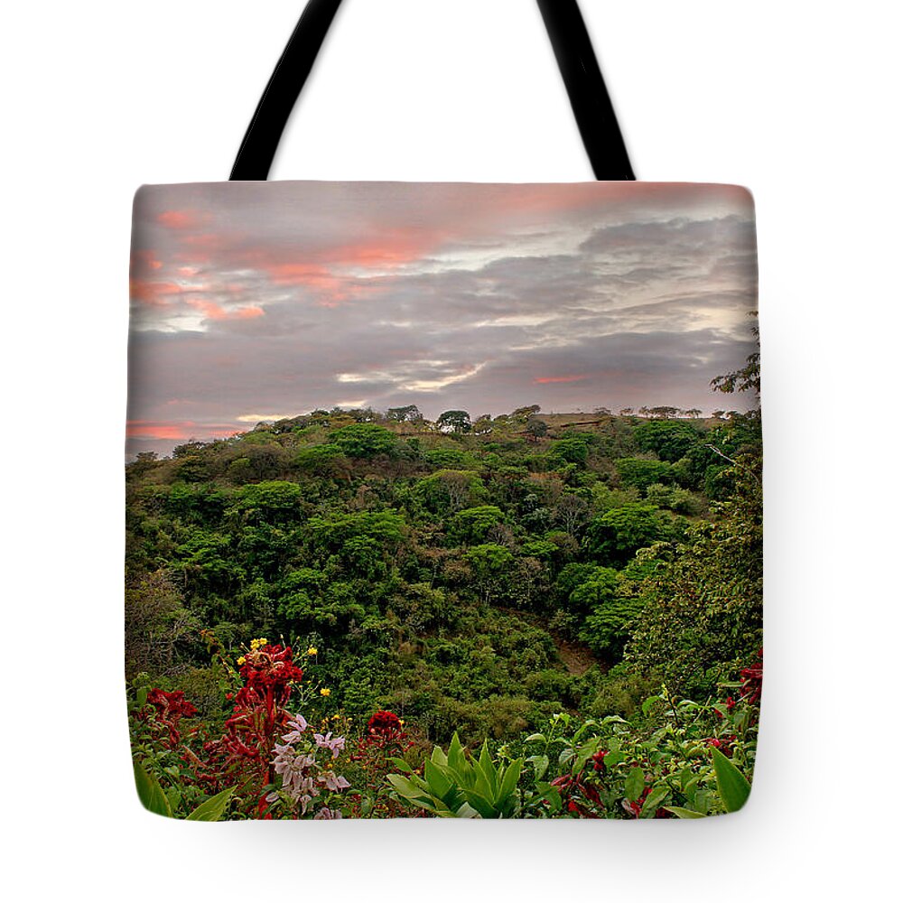 Tropical Tote Bag featuring the photograph Tropical Sunset Landscape by Peggy Collins