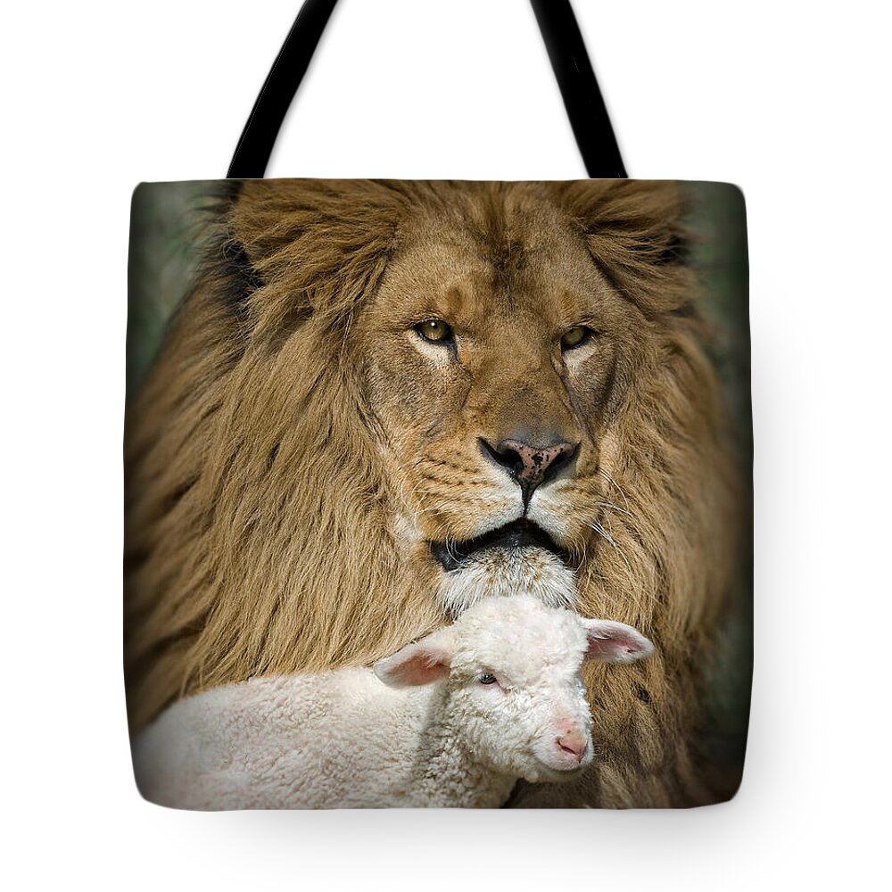 Actual Tote Bags