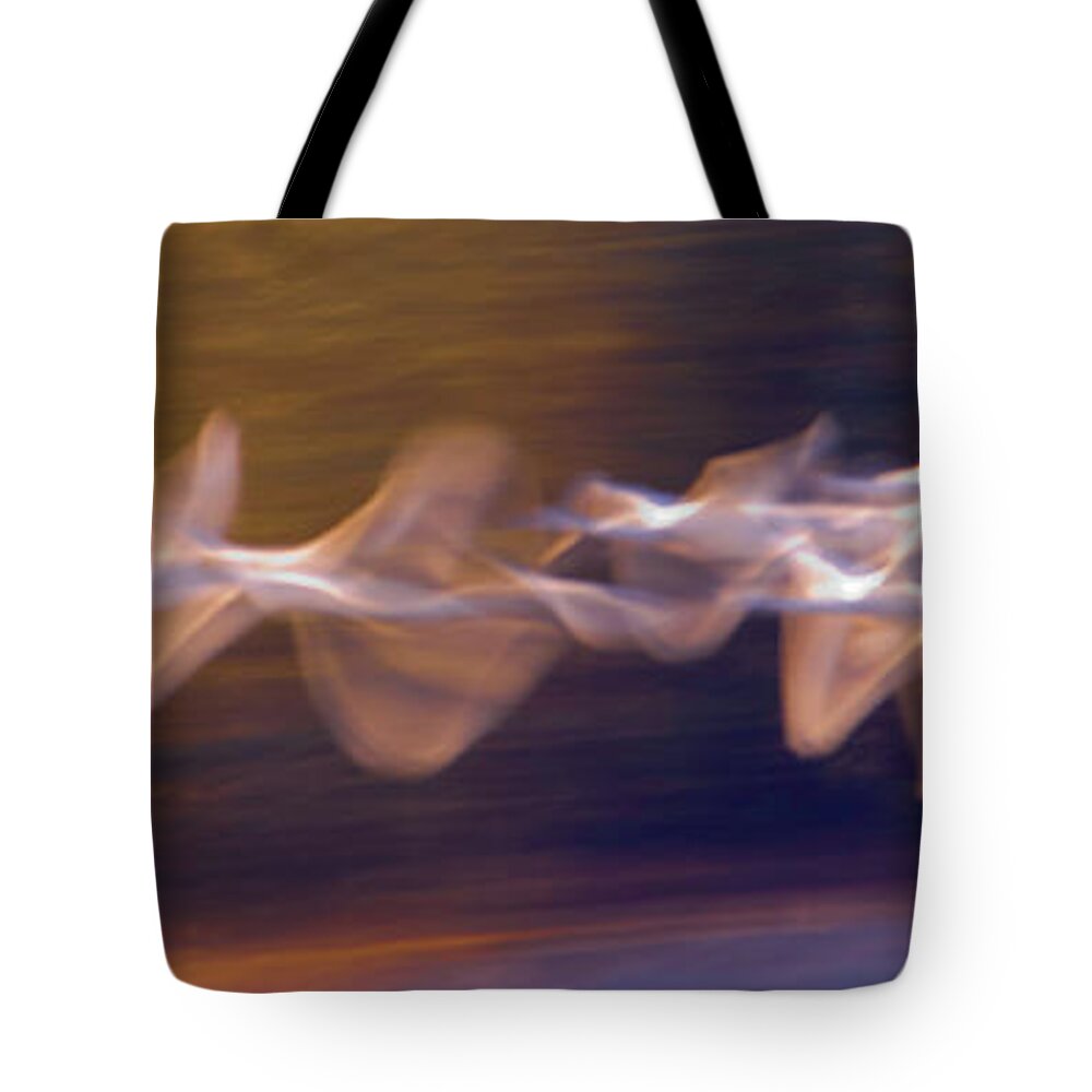 Photography Tote Bag featuring the photograph Trumpeter Swans Cygnus Buccinator by Panoramic Images