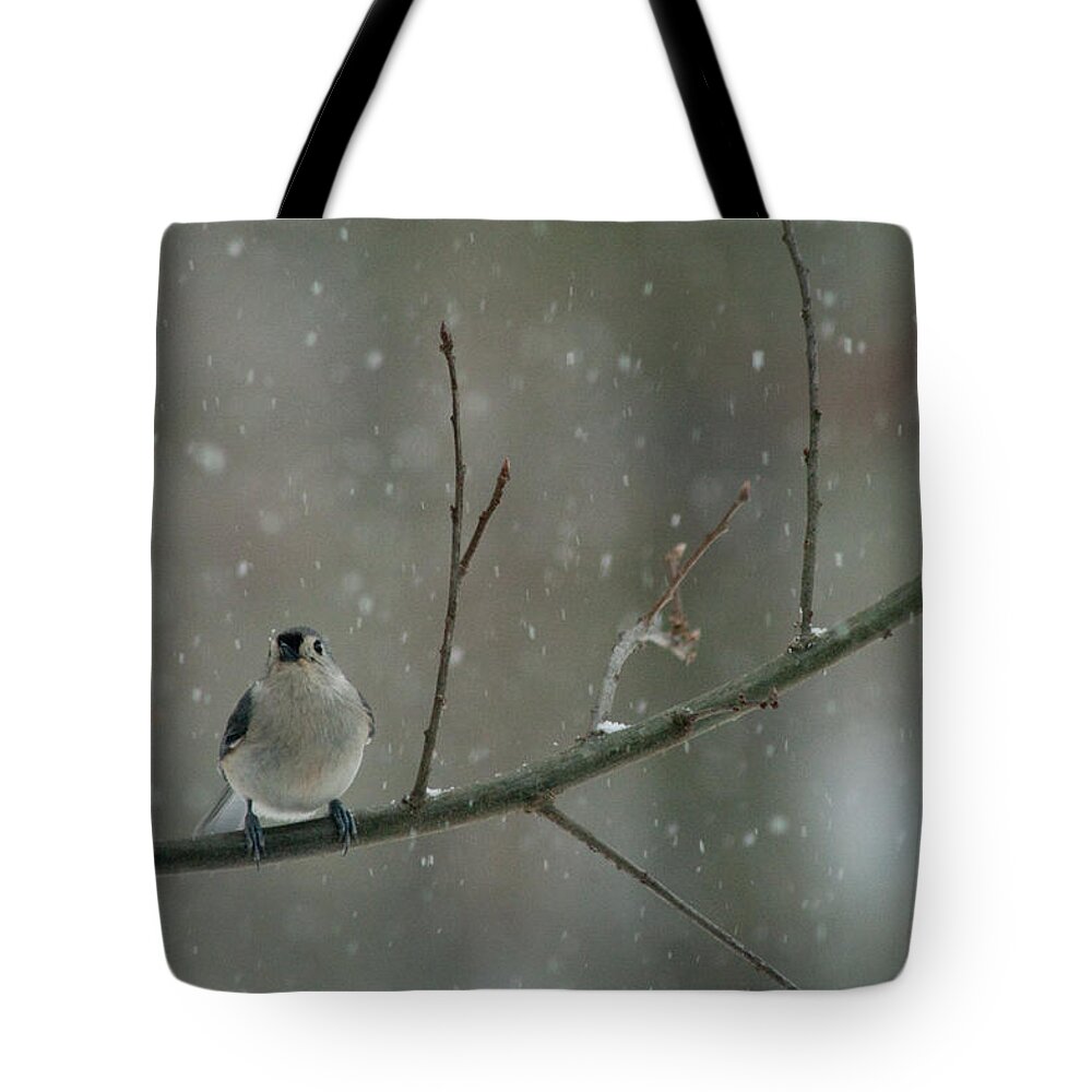 Titmouse Tote Bag featuring the photograph Tufted Titmouse in the Snow by Kristia Adams