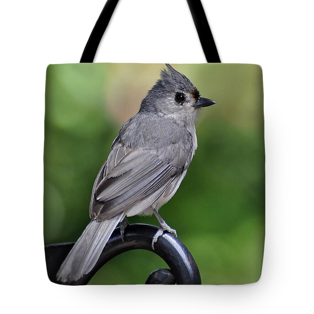 Birds Tote Bag featuring the photograph Tufted Titmouse by Kathy Baccari