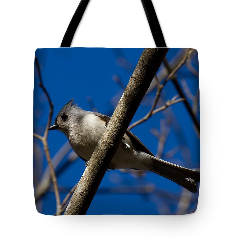 Tufted Titmouse Tote Bag featuring the photograph Tufted Titmouse by Robert L Jackson
