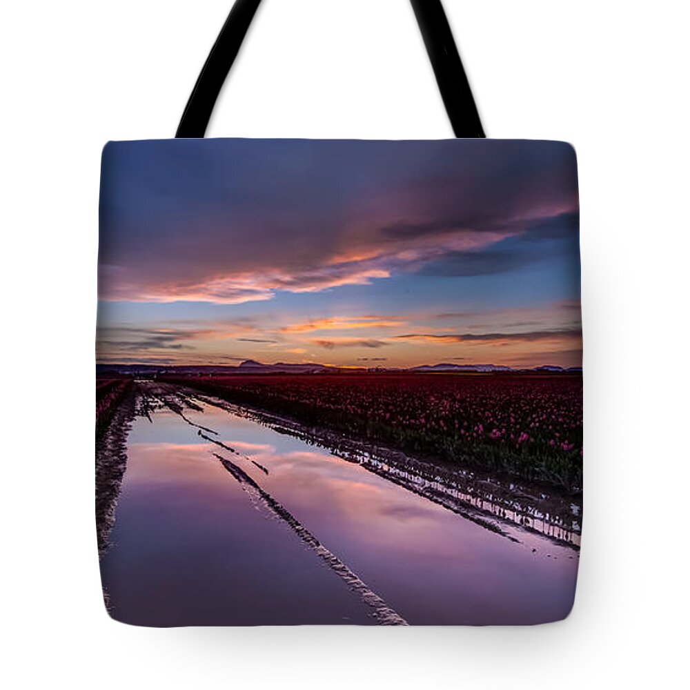 Tulip Fields Tote Bag featuring the photograph Tulips and Purple Skies by Mike Reid