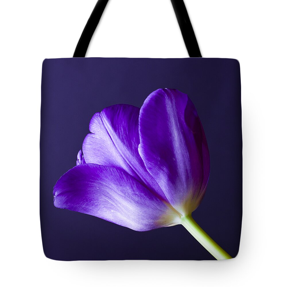 Blossom Tote Bag featuring the photograph Tulips Bloom As They Are Told by Christi Kraft