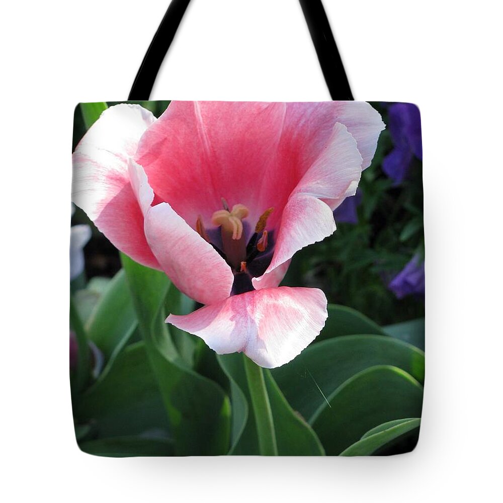 Tulip Tote Bag featuring the photograph Tulips - Confidence 04 by Pamela Critchlow