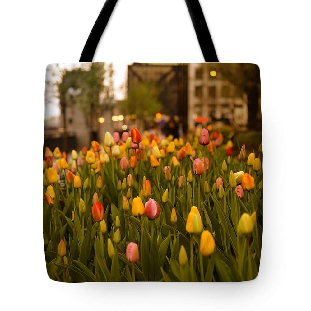 Chicago Tote Bag featuring the photograph Tulips in Chicago by Miguel Winterpacht