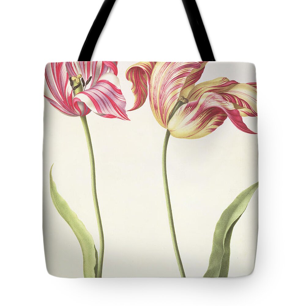 Still-life Tote Bag featuring the painting Tulips by Nicolas Robert
