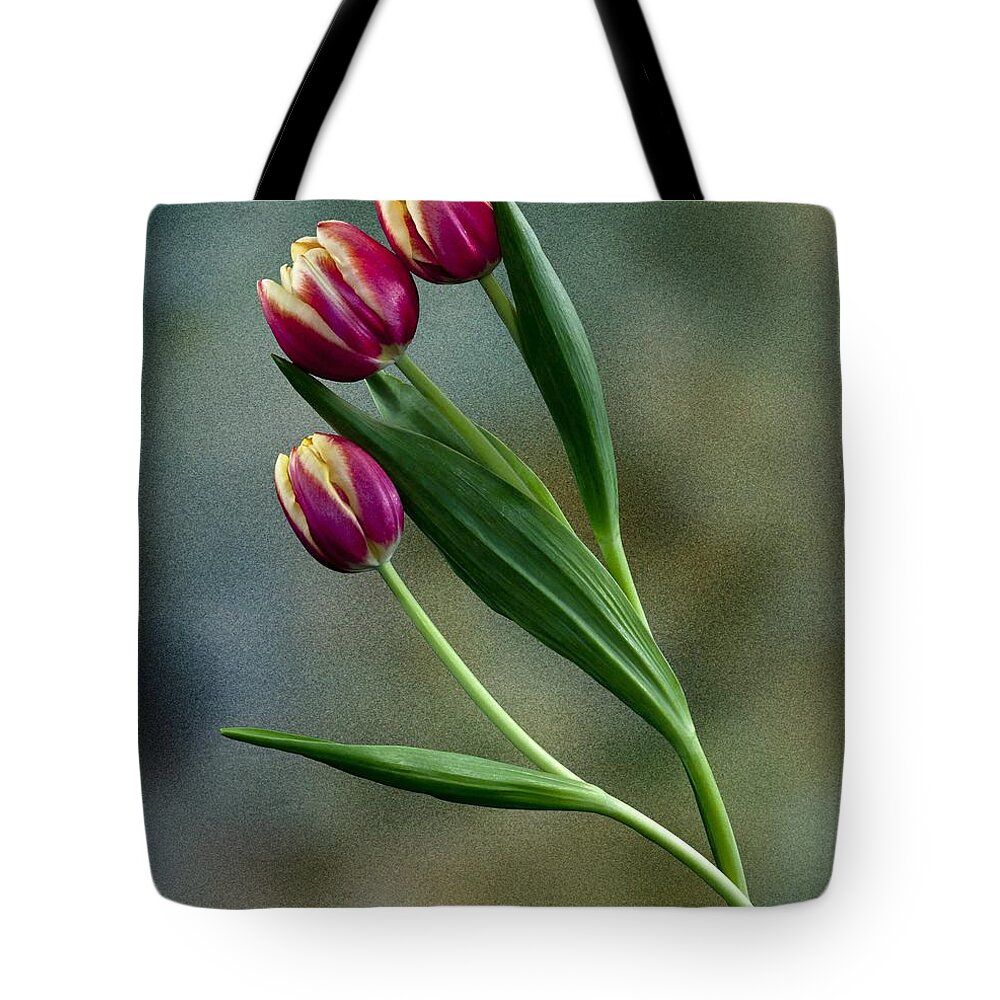 Flowers Tote Bag featuring the photograph Tulips by Shirley Mangini