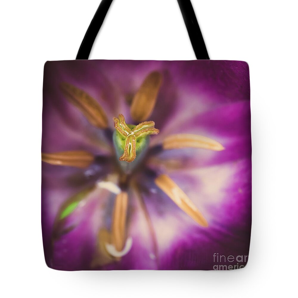Blossom Tote Bag featuring the photograph Tulips Star by Hannes Cmarits
