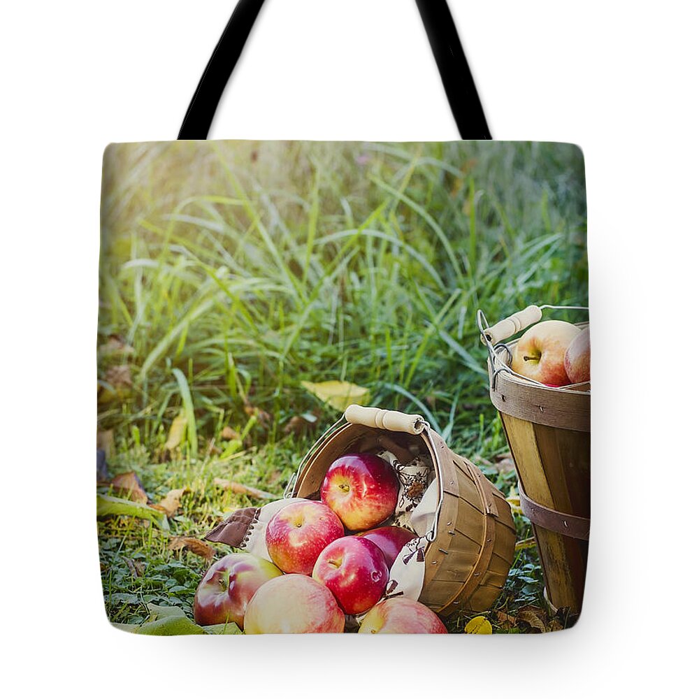 Peck Of Apples Tote Bag featuring the photograph Tumbling Out by Heather Applegate