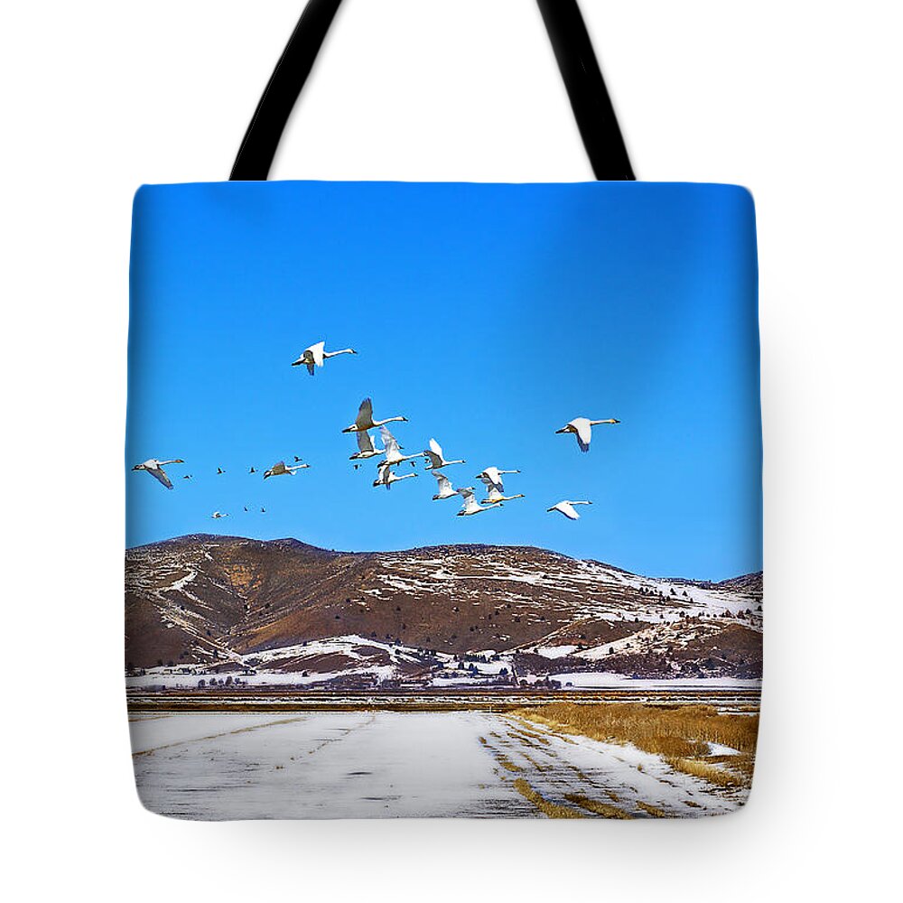 Birds Tote Bag featuring the photograph Tundra Swans Take Flight by Abram House