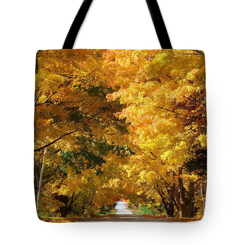 Fall Tote Bag featuring the photograph Tunnel of Yellow Leaves by David T Wilkinson
